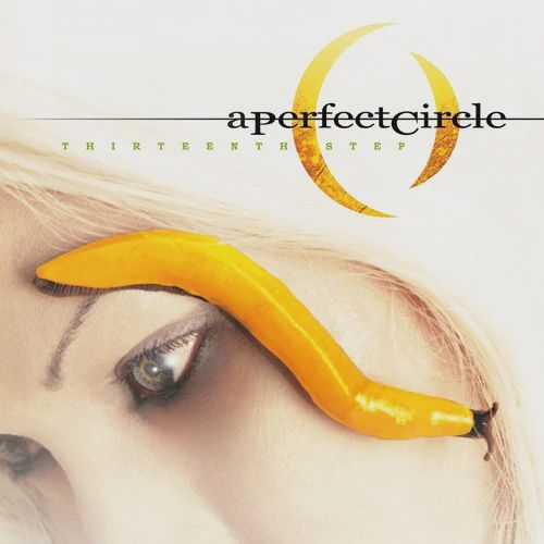 PERFECT CIRCLE, A - THIRTEENTH STEP (2 LP) (180G VINYL)