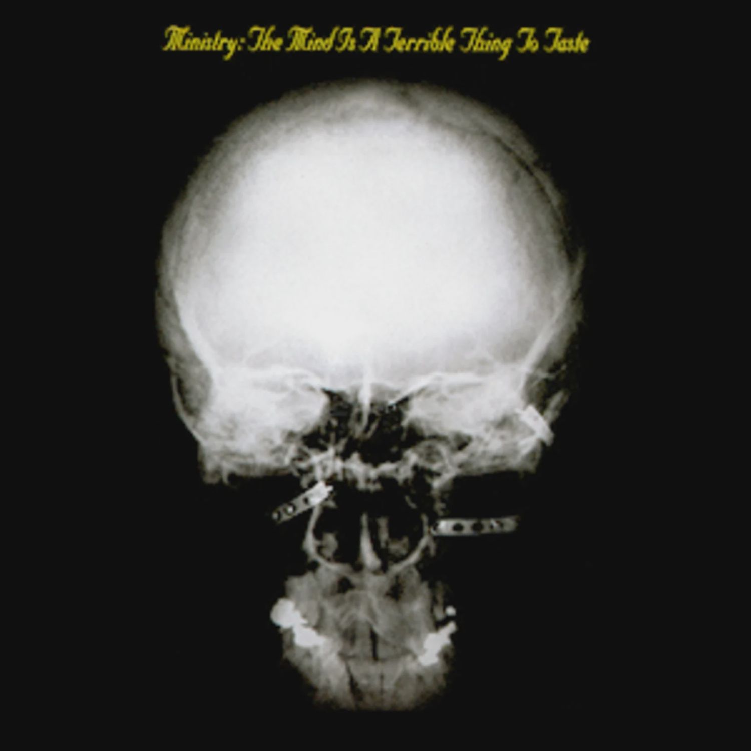 MINISTRY - THE MIND IS A TERRIBLE THING TO TASTE (MUSIC ON VINYL-180G AUDIOPHILE PRESSING)