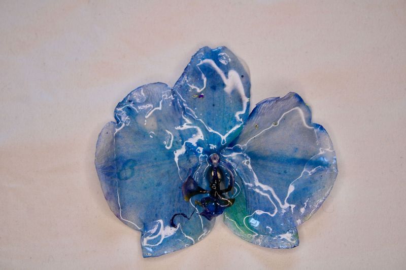 Eternal Bloom of the Sky