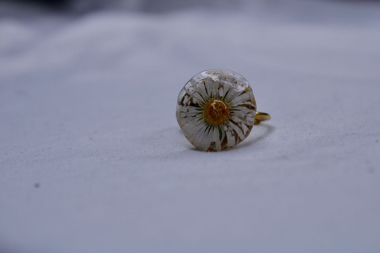 Whispering Daisy Whispering Daisy