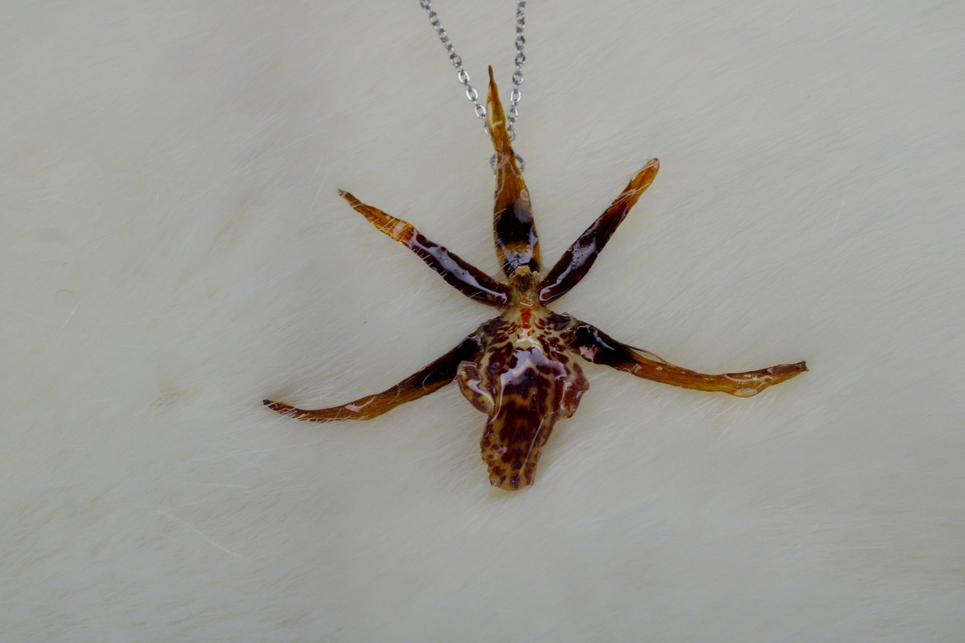 Special Spider Orchid Necklace