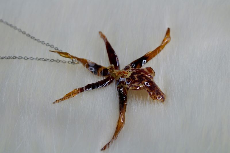Special Spider Orchid Necklace