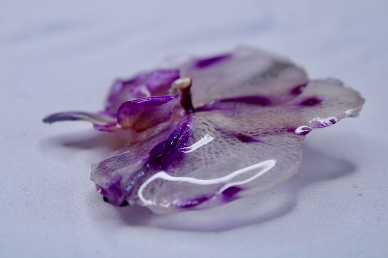 Blooming Orchid Hair Clip