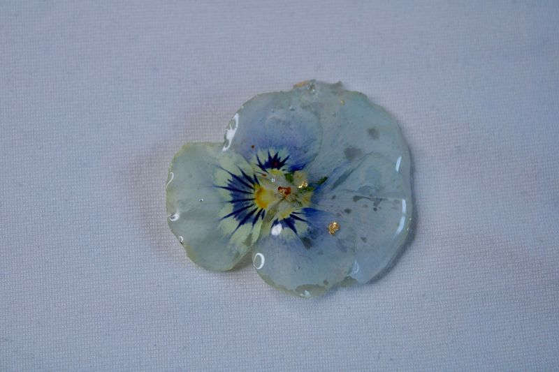 Blue Pansy Magnet