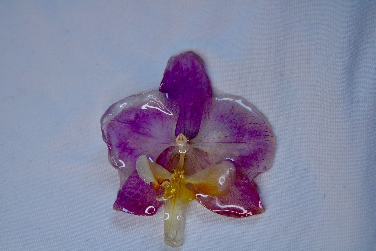 Violet Orchid Magnet