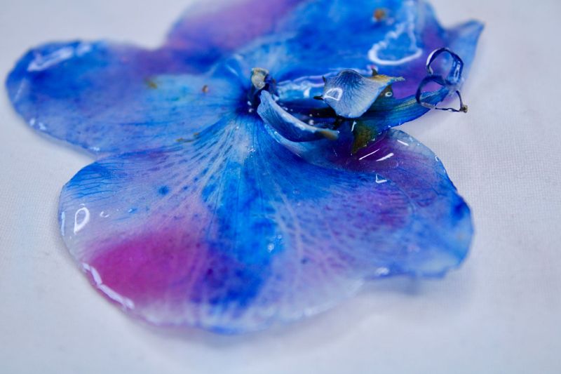 Violet Waters Magnet