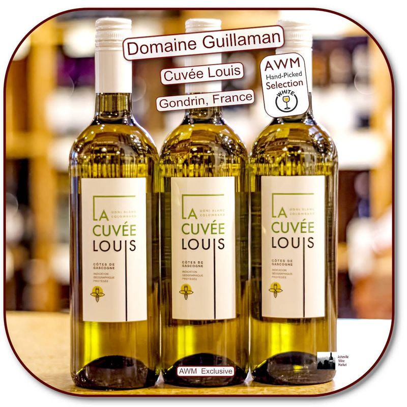 Cuvee Louis Cote Gascogne 23