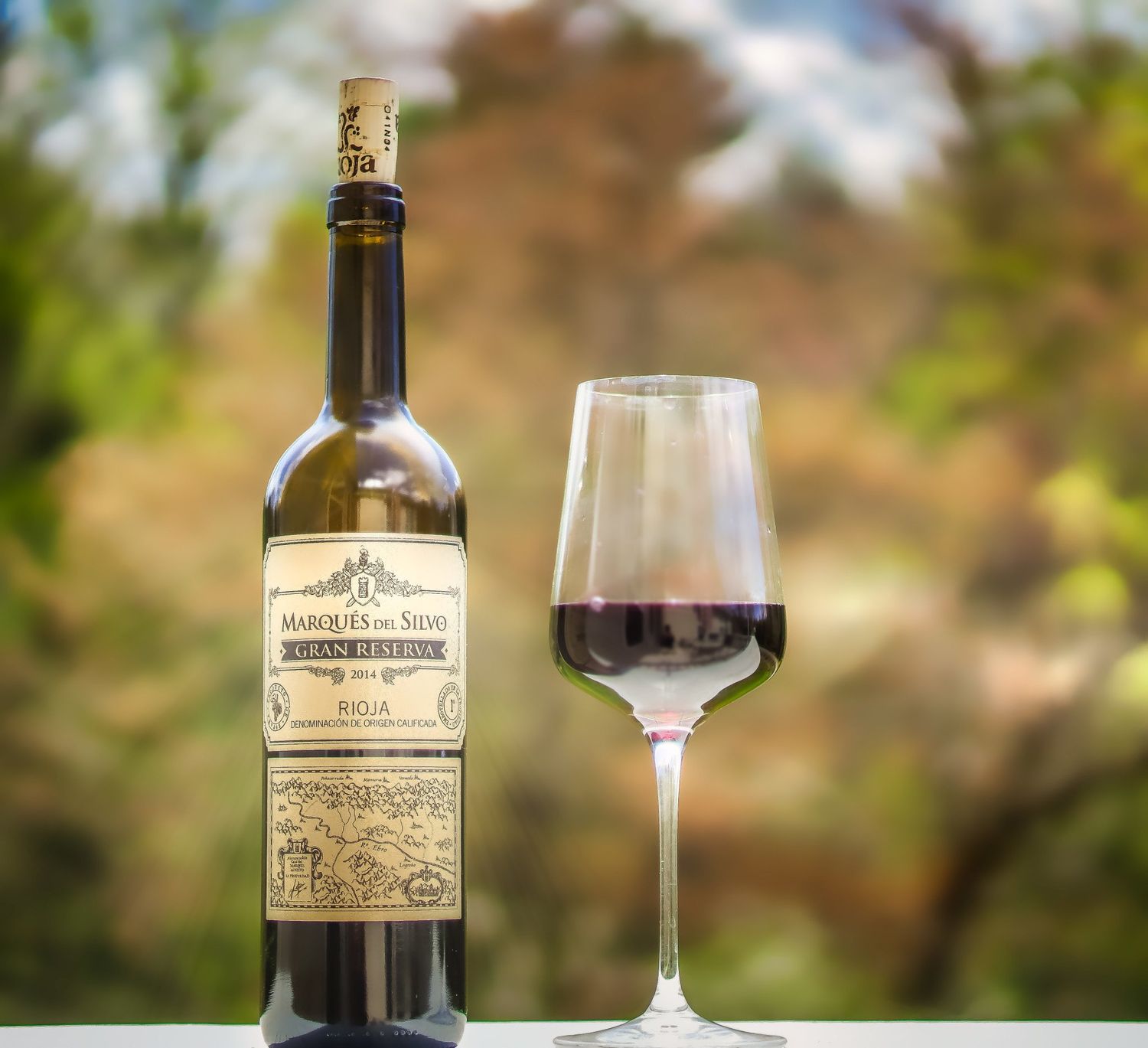 Marques del Silvo Rioja GRAN Reserva 18