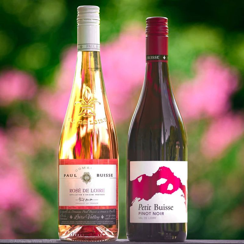 Paul Buisse Loire Petite Buisse Pinot Noir 22