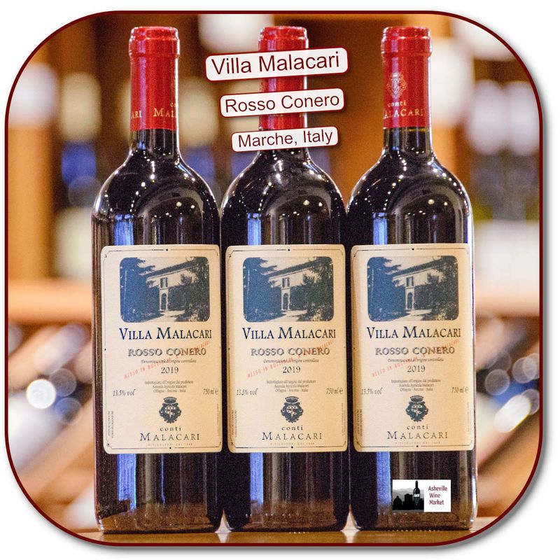 Malacari Rosso Conero 19