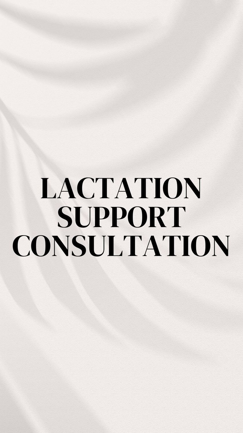Lactation support consultation