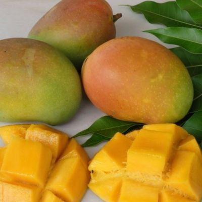 Mango