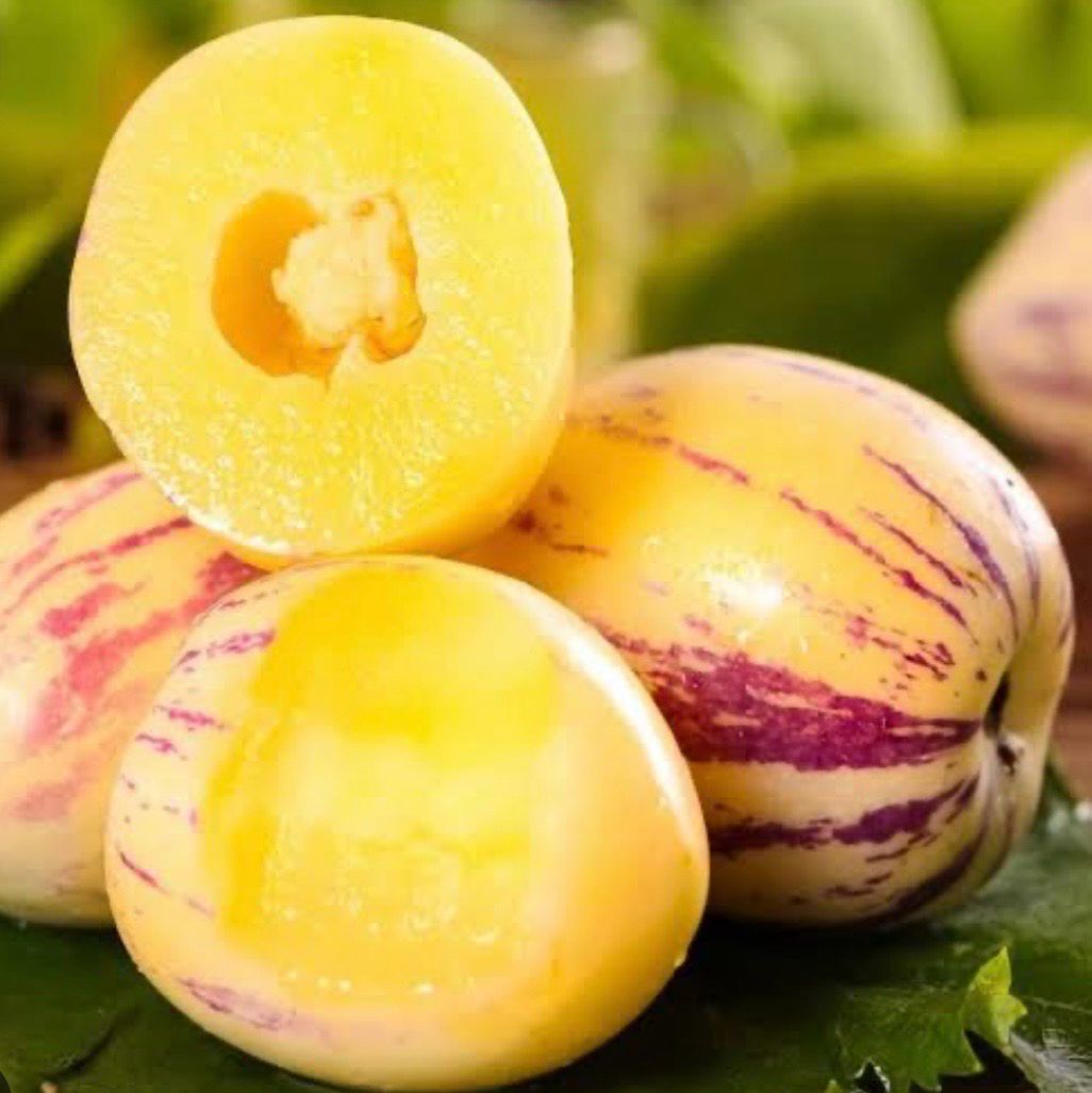 Pepino Gold Sweet Cucumber Or Melo. Pear