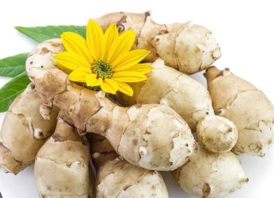 Jerusalem Artichoke
