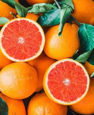 Blood Orange Cara Cara Naval Grafted