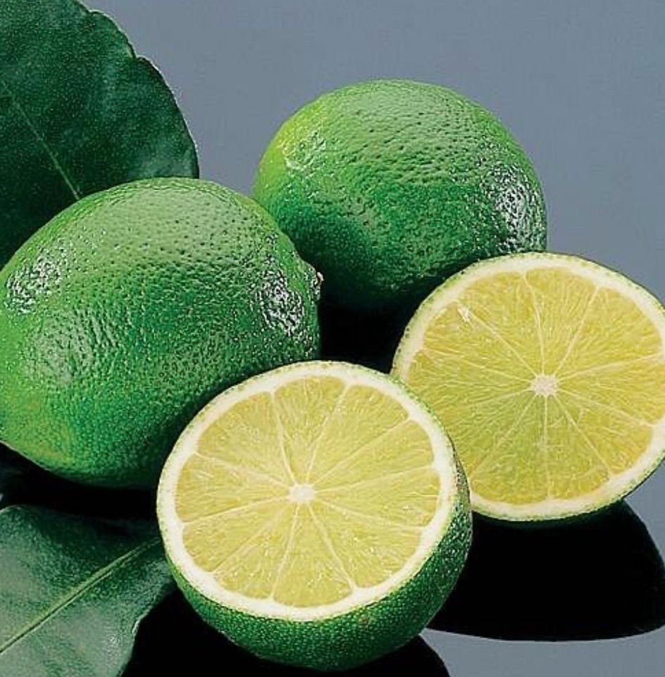 Kusaie Lime Grafted 200 mm