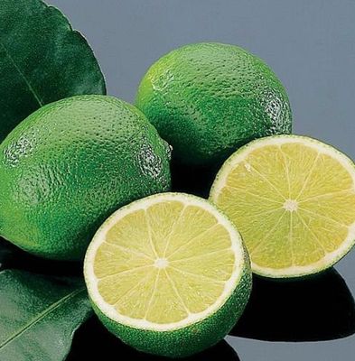 Kusaie Lime Grafted 200 mm