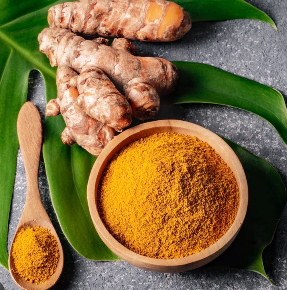 Tumeric Plant