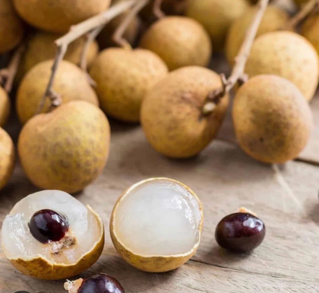 Longan Kohala Advance Size