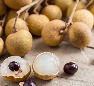 Longan Kohala Advance Size