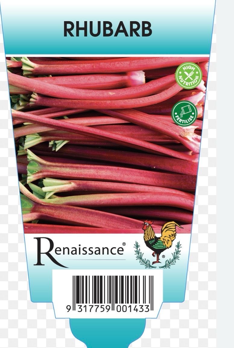 Rhubarb