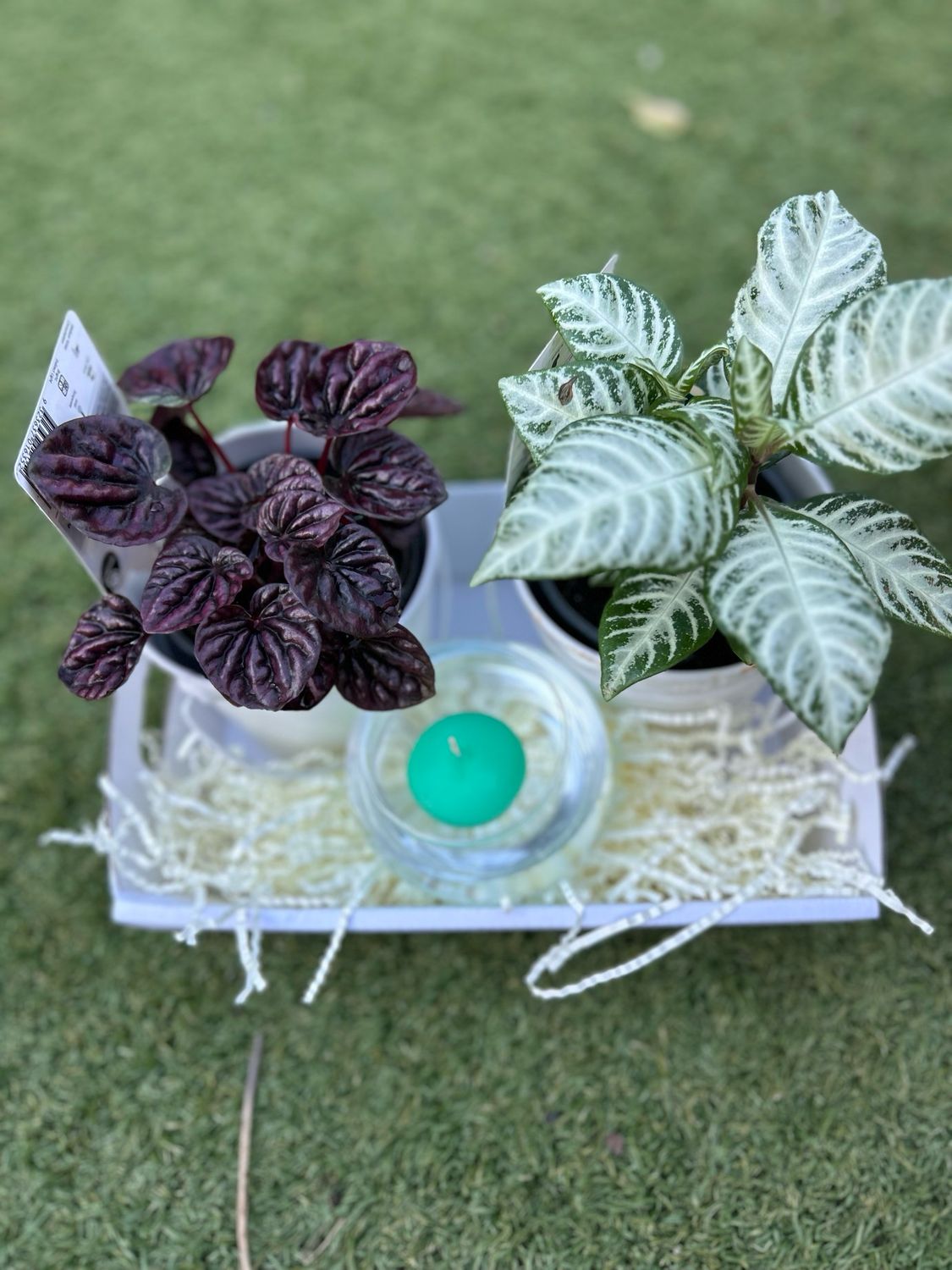 Mother’s Day Green Gift Combo