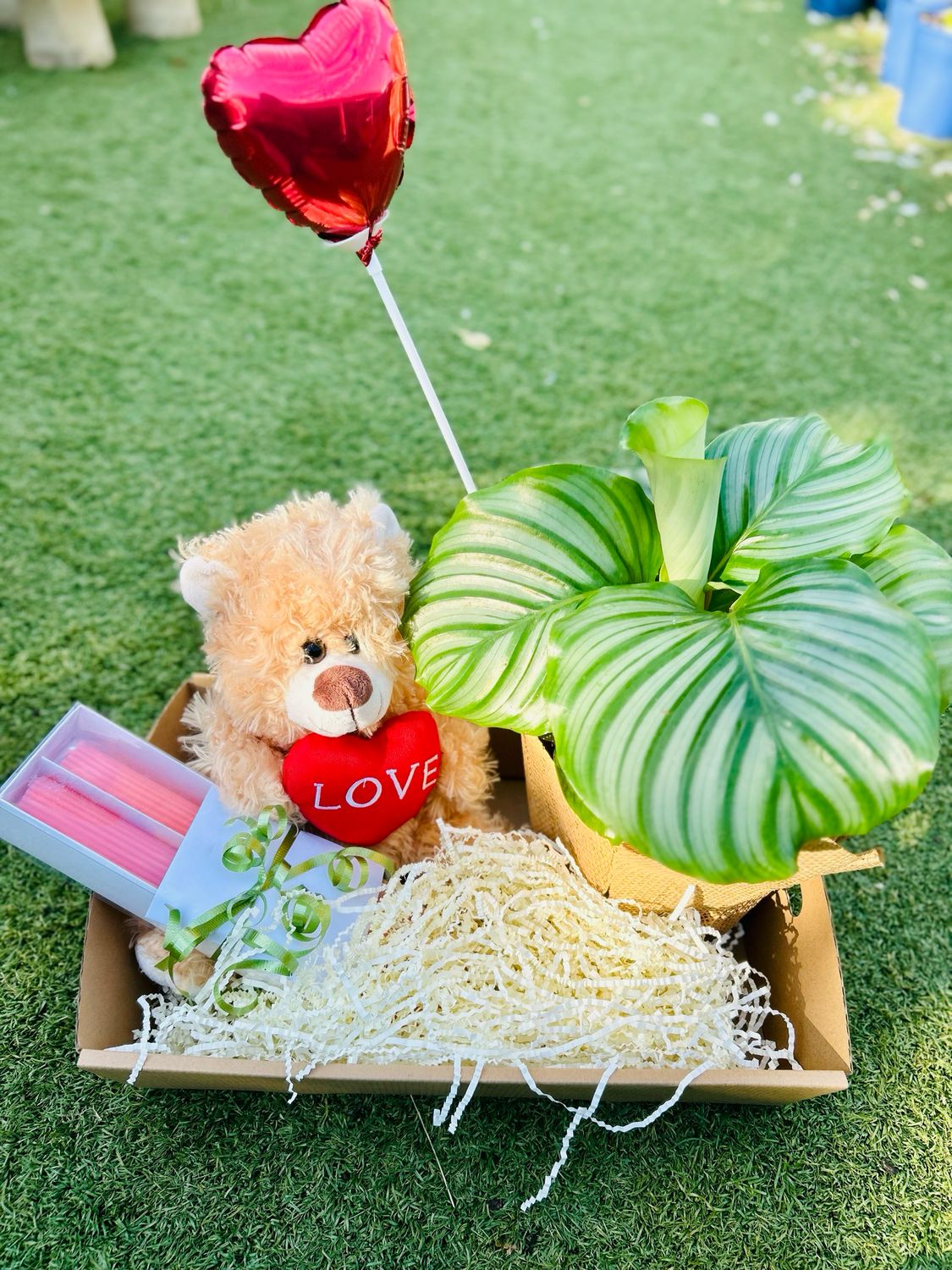 🎁 Mother’s Day Special Gift Combo – Ceramic Pot Edition 🎁