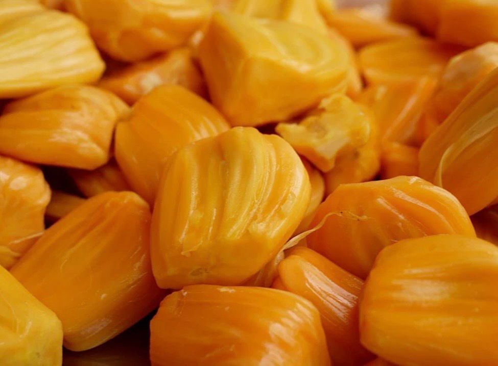 Cosmic Gold Grafted Jackfruit
