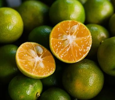 Calamansi 5 L Pot