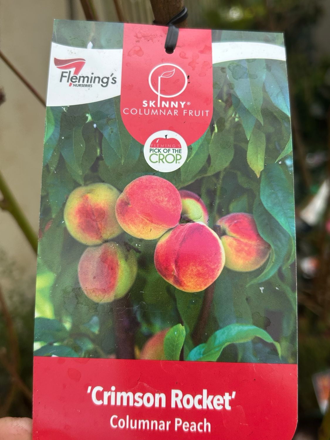 Peach Crimson Rocket 35L Bag