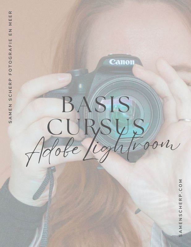 Basis cursus Lightroom