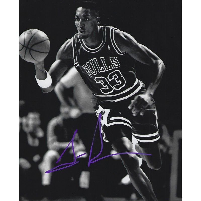 Scottie Pippen Nba Photo Signed Autograph Autographed  PIPPEN SCOTTIE  Photo Autographed Signed Autographed Scottie Pippen