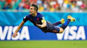Van Persie Robin