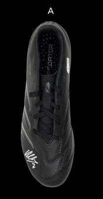 David Villa autographed shoe VILLA autographed shoe Boot Villa  Authentication: Beckett Hologram   Actual delivery time: 10-20 days.