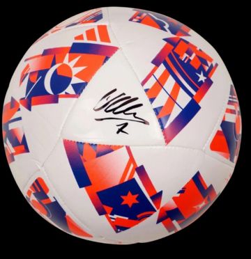 David Villa autographed ball VILLA  autographed autographed ball David Villa Ball Signed Autographed Autographs VILLA  Authentication: Beckett Hologram  Actual delivery time: 10-20 days. Once you plac
