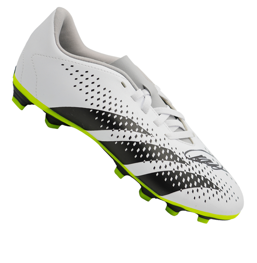 Kaka Signed Adidas Predator Boot Shoe Original  Autograph Signed Boot Signed  Kaka ICONS