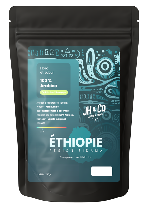 Éthiopie – Région Sidama, Coopérative Shilicho