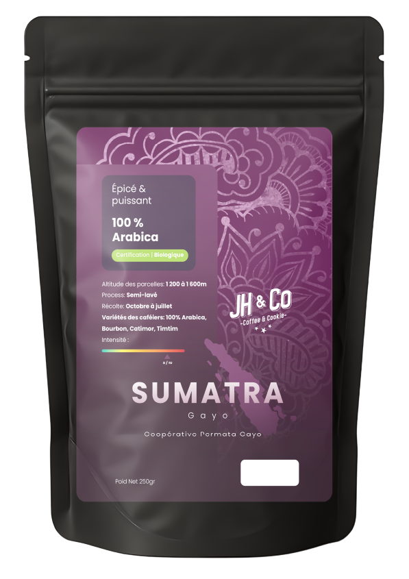 Sumatra – Région Gayo, Coopérative Permata Gayo