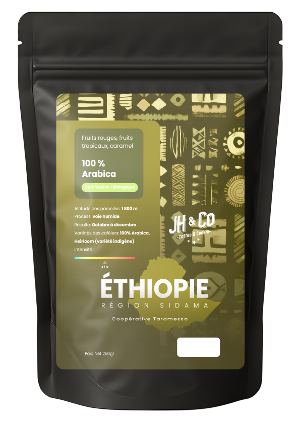Éthiopie – Région Sidama, Coopérative Taramessa (Naturel, Grade 4)