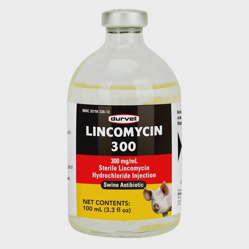 Lincomycin 300 Swine Injectable Rx - 100 mL
