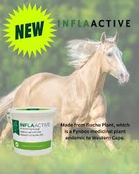Equestrian AID INFLAactive Gel (12 oz)