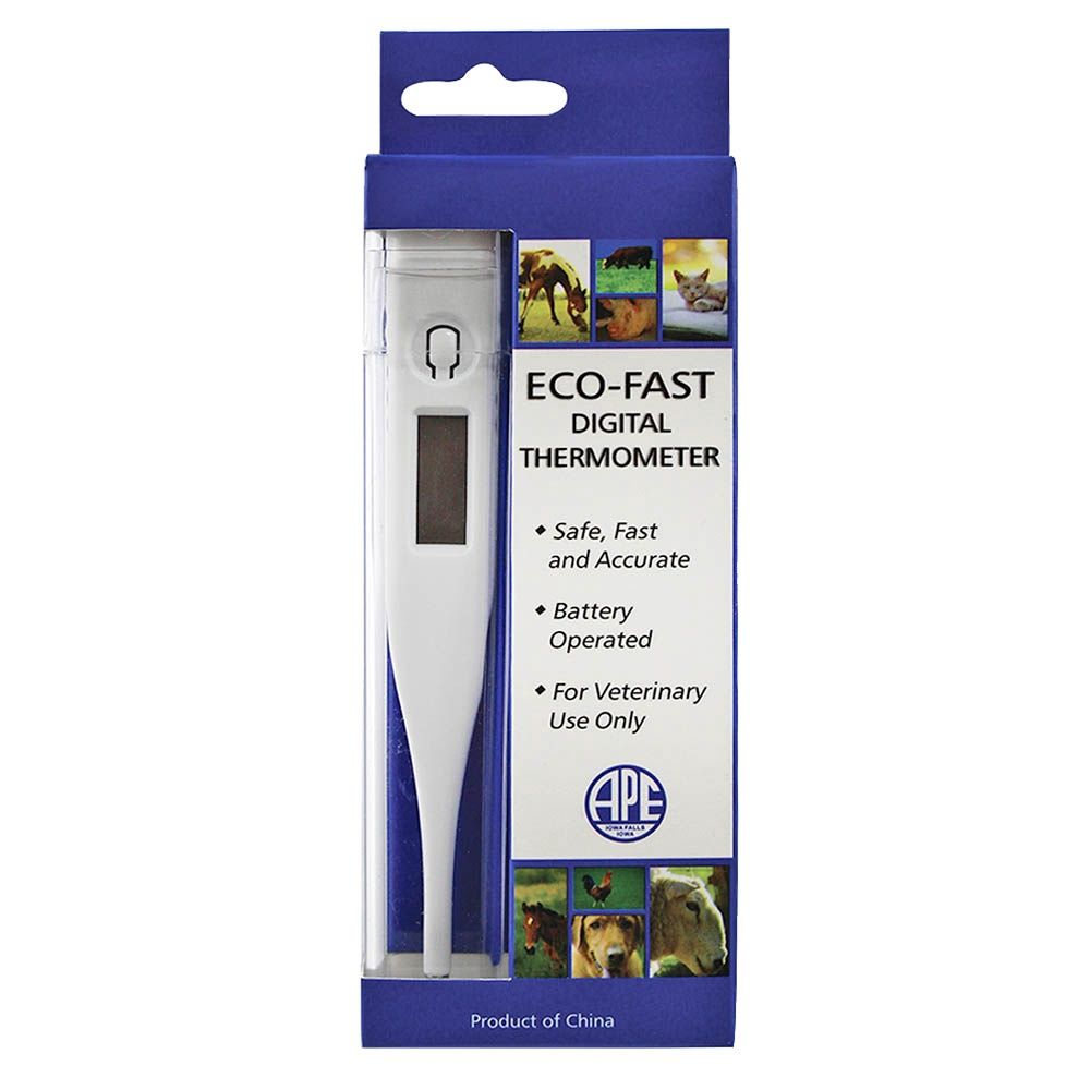 Eco-Fast Digital Thermometer Eco-Fast Digital Thermometer