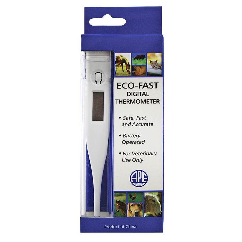 Eco-Fast Digital Thermometer