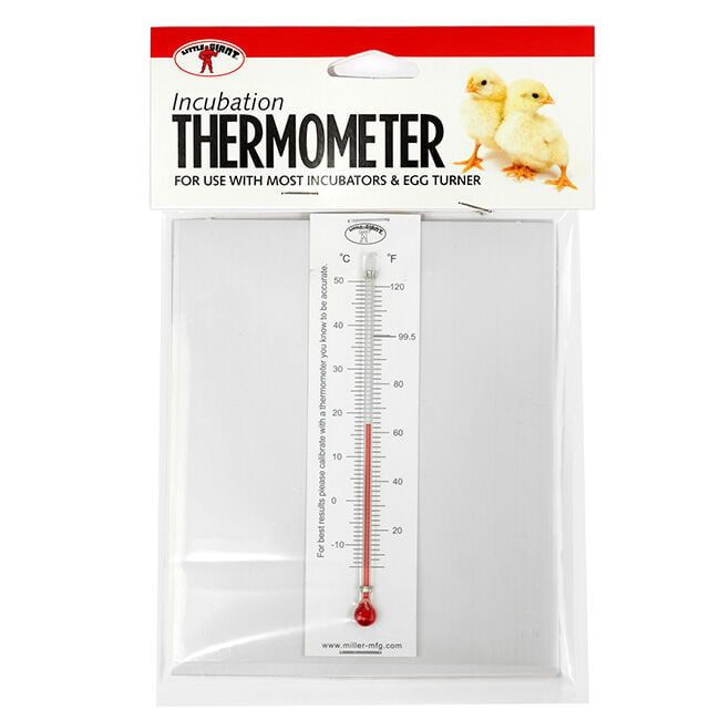 Incubation Thermometer