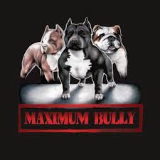 Maximum Bully