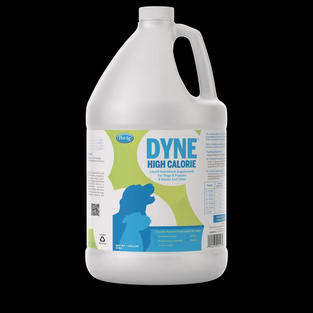 Dyne High Calorie Supplement, Size: 1 Gallon