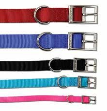 Valhoma Cat Collars