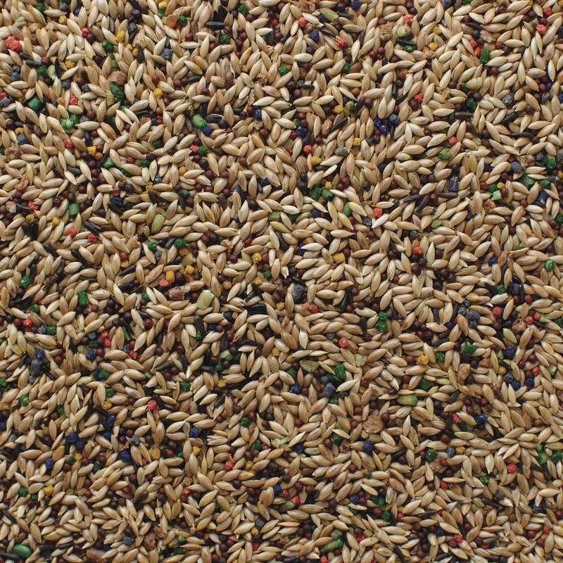 Grains Plus Canary Blend Bird Seed