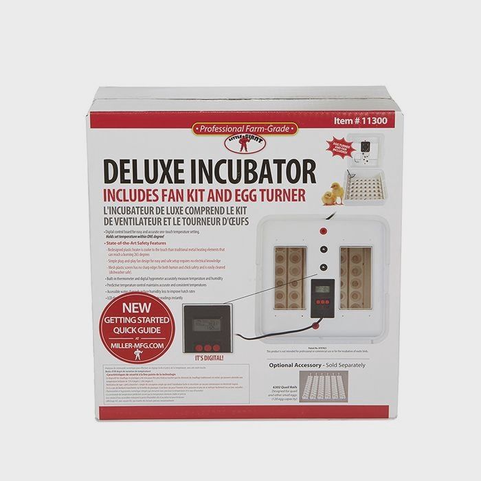 Deluxe incubator