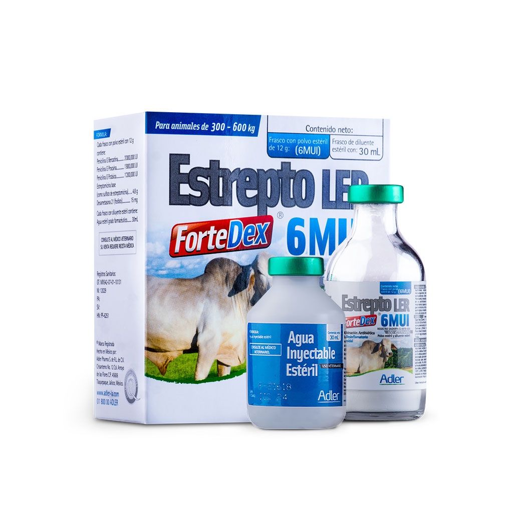 Estrpto Ler (Penicillin), Type: Forte Dex 6 MUI